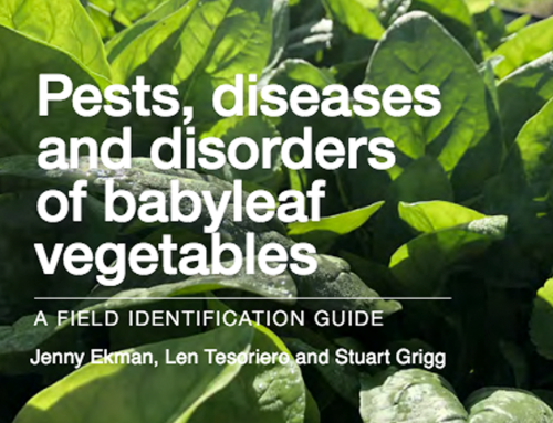 Pests, Diseases and Disorders of Babyleaf Vegetables: A field identification guide – REVISED 2023