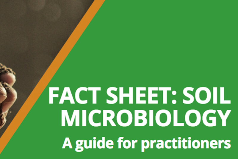 What You Need To Know About Soil Microbiology – Soil Wealth ICP