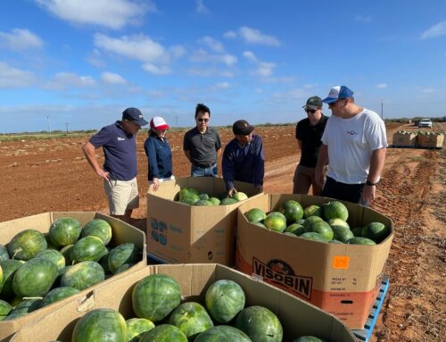 Promoting soil health at WA melons roadshow