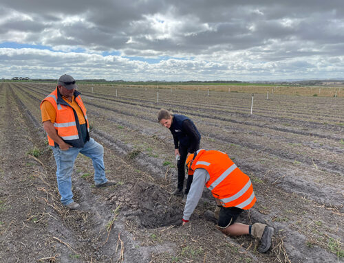 Tarwin, Vic demo site update: Why is soil carbon important?