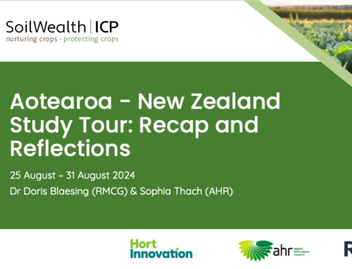 Aotearoa NZ Study Tour: Recap and Reflections