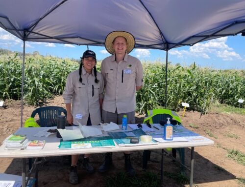 Cover cropping and reduced tillage at LLS Riverfarm in Richmond, NSW