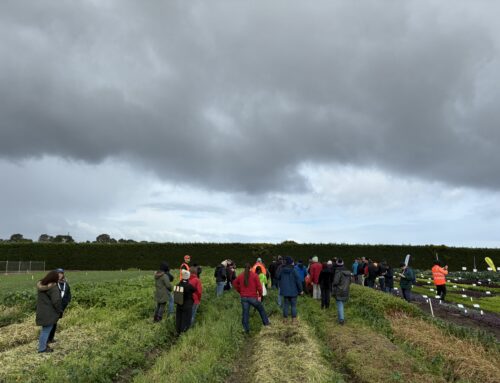 Showcasing the power of cover crops at VicVID