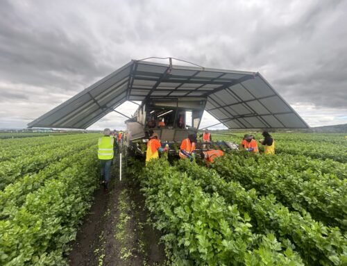 Driving Trans-Tasman collaboration and soil health innovation