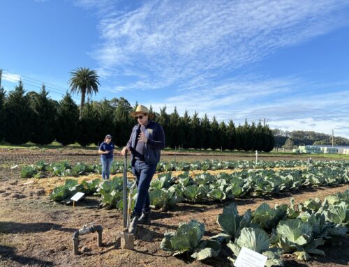 Growers gather in Richmond for soil health and irrigation field day