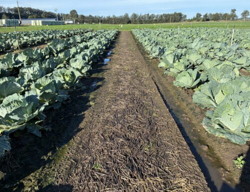 LLS Richmond demonstration trial nears completion
