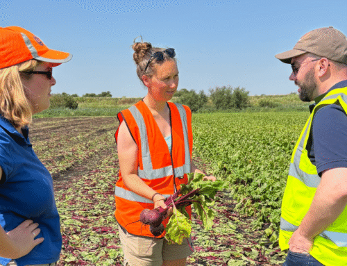 International insights: Composting, soil health and IPM in the UK