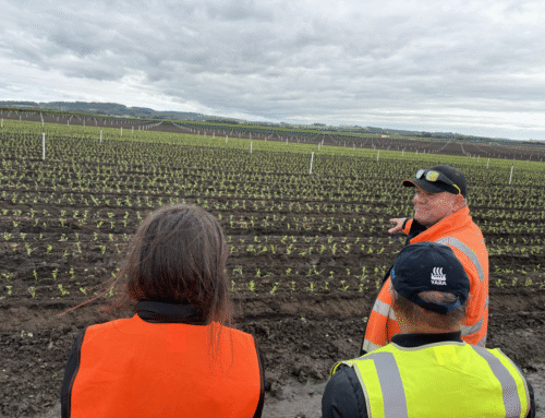 Input costs down, carbon up at Tarwin, Vic demo site