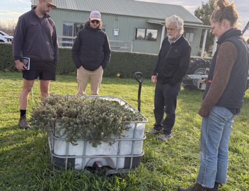 Insectaries take centre stage in New Zealand