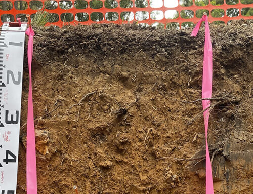 Vegetable crop nutrition online: Topic area 3 – Soil testing and assessment
