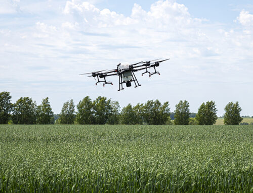 Vegetable crop nutrition online: Topic area 7 – Precision nutrition and adaptive management