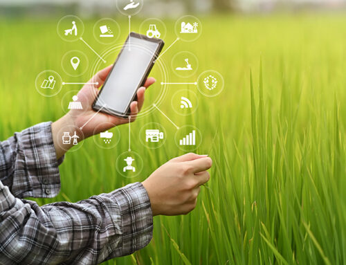 Vegetable crop nutrition online: Topic area 8 – Economics of improved nutrient efficiency